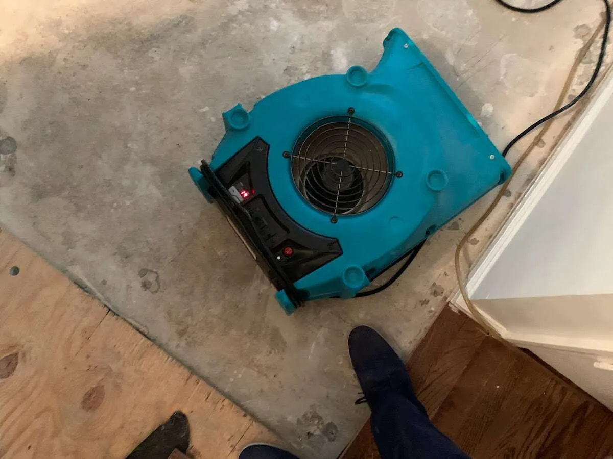Air mover drying subfloor during Commercial Water Damage Restoration in Wellington